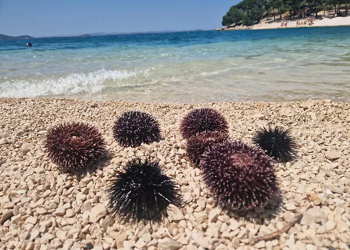 Mobile Benita Tatil Evi Drage