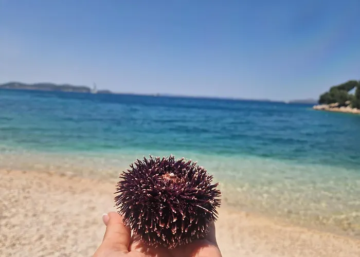 Mobile Benita Tatil Evi Drage