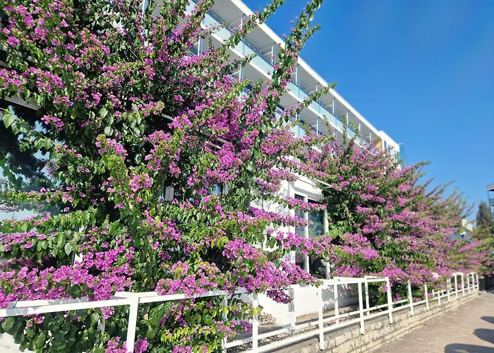 Mobile Benita * Drage